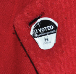 I VOTED… DID YOU?