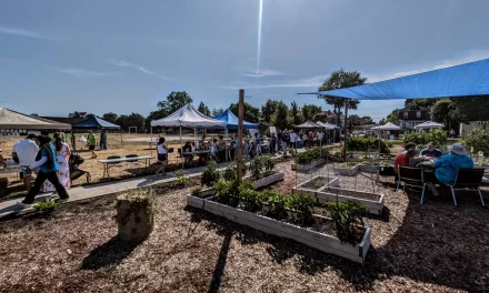 Walk About at Park’N’Party