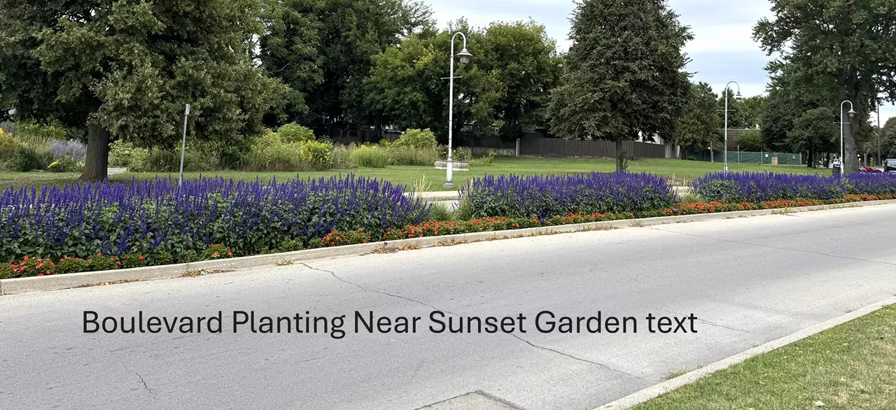 Councillor’s Update