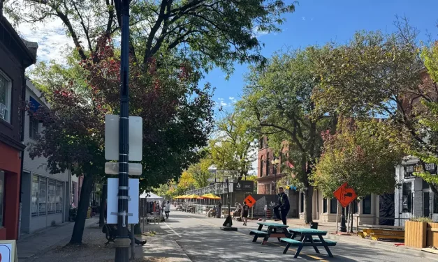 Councillor’s Update