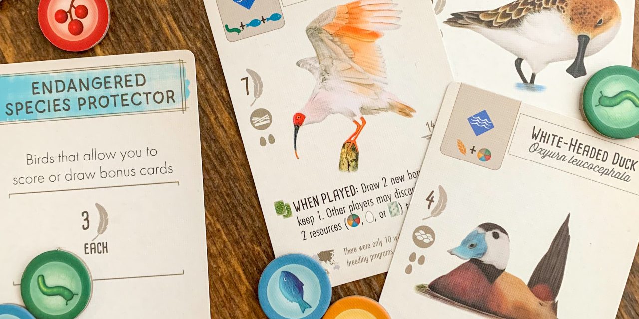 Indoor Fun for Winter Weather