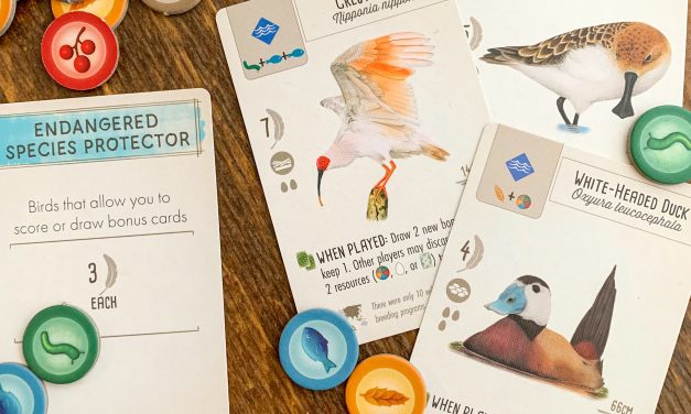 Indoor Fun for Winter Weather