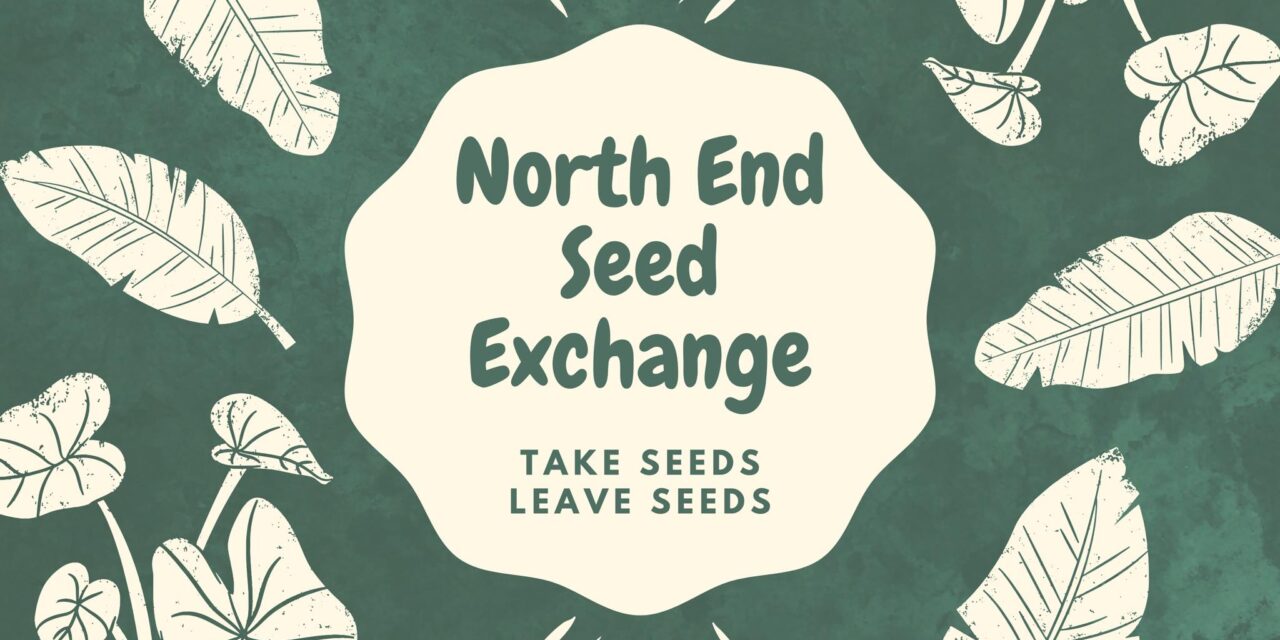 The North End Seed Exchange Box Is Back—Let’s Get Growing!
