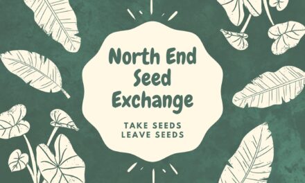 The North End Seed Exchange Box Is Back—Let’s Get Growing!
