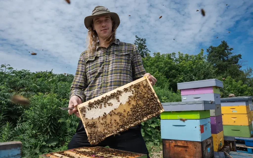 Humble Bee and HOPA Ports Are Helping Nature Thrive on Hamilton Harbour