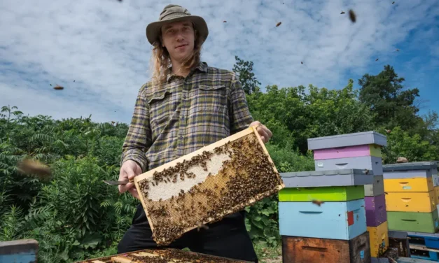 Humble Bee and HOPA Ports Are Helping Nature Thrive on Hamilton Harbour
